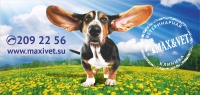 Рекламный плакат для сети ветеринарных клиник "MAXIVET"